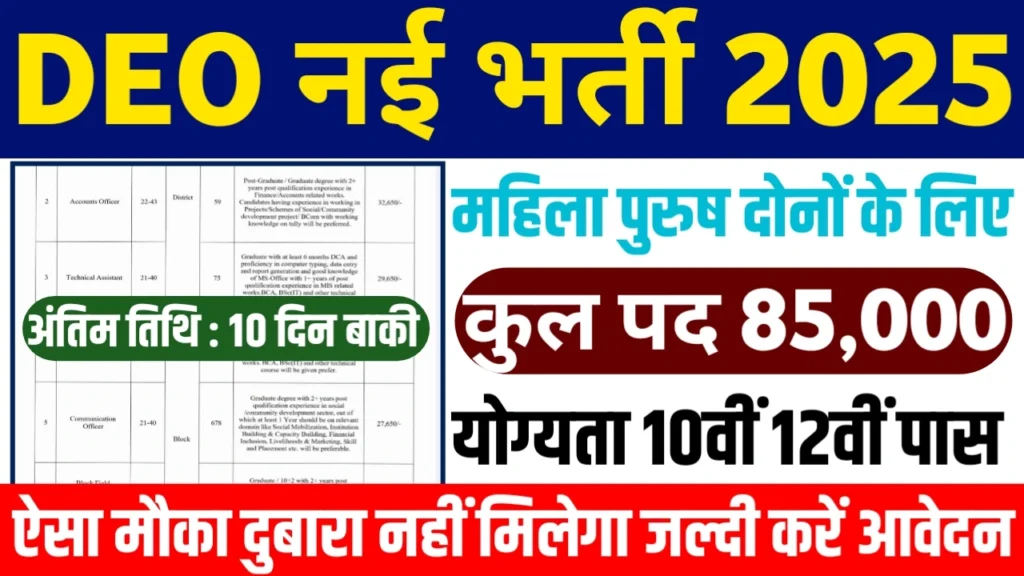 DEO Vacancy 2025